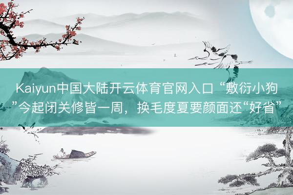 Kaiyun中国大陆开云体育官网入口 “敷衍小狗”今起闭关修皆一周，换毛度夏要颜面还“好省”