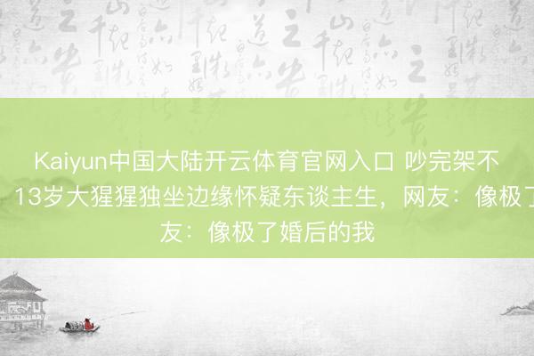 Kaiyun中国大陆开云体育官网入口 吵完架不吼也不闹！13岁大猩猩独坐边缘怀疑东谈主生，网友：像极了婚后的我