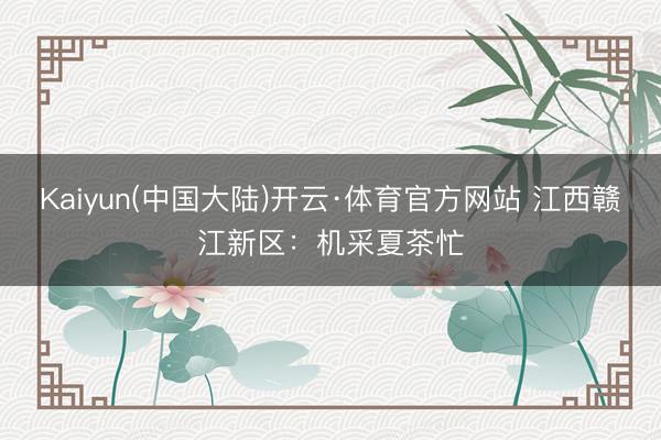Kaiyun(中国大陆)开云·体育官方网站 江西赣江新区：机采夏茶忙