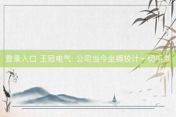 登录入口 王冠电气: 公司当今坐褥狡计一切平素